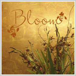 removable wall art wall appeals