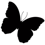 butterfly